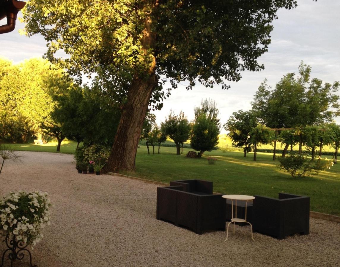 Antica Vigna Bed & Breakfast Chioggia Exterior photo